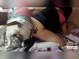 my dog, my intimate companion