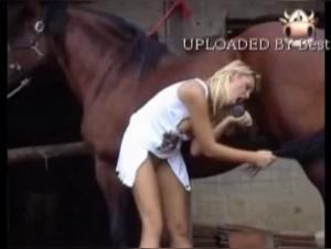 Zoophilia video with a horse