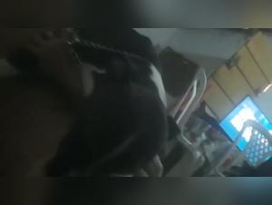 Brazilian whore, fiery dog, wild enjoyment