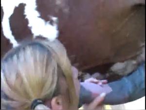 Myzoowife : Le Fetichisme Animal Explique