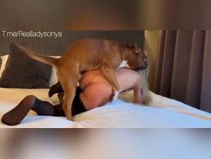 Chien défonce Sonya :  Délices sadomasochistes et sexe animal extrême