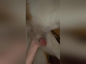 Hidden Truths: Peeking into the Pornsocket