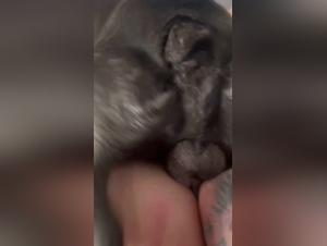 Accettano, scopano: relazioni tabu con i cani