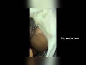 An intense and unique zoophilia experience