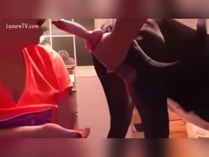 Hunde Sexarchive, erkunden Sie die dunklen Freuden von Amadora