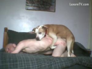 Bestiality sex video: man and dog