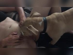 Vidéo de zoophilie: Découvrez le sexe extrême avec un chien