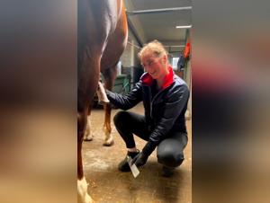 Discover Hardcore Sex Scenes with Horses