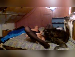 Pushing Boundaries: A Gruesome Reality