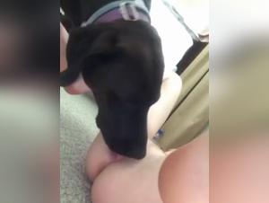 Delizie bestiali: Milly immersa in un oceano di carne canina