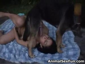 Dominanza canina