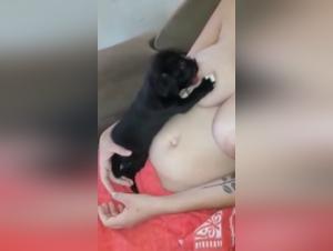 Entdecken Sie die Grenzen des tierischen Verlangens