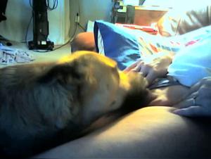 Dog Sex Video - An Intense Experience