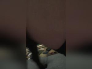 Extreme sex scenes with dogs in this amateur video