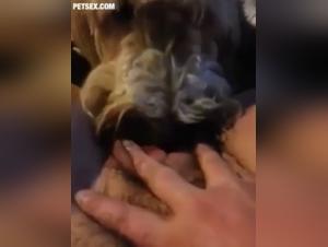 Amateur Video: Man and female dog