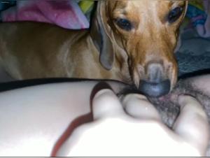 Witness the Passionate Encounter