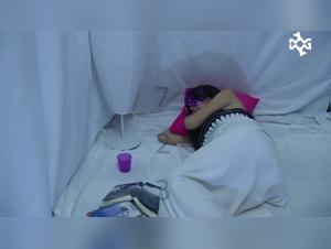 Zoophilia Video: A Forbidden Love Story