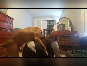 Hottest Pussy and Dogfuck in Bestiality.