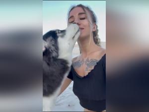 dog suck and zooskoolvideos