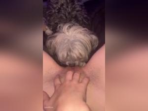 Watch this female dog get licked by a dog in this dog sex video