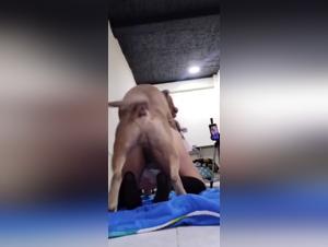 Unveil Dark Desires: Hardcore Animal Sex