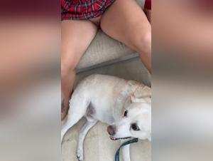 The Dog is always ready to dive into this erotic lovemaking session