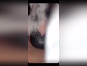 Video Bestiality Zoophilia: An Extreme Experience