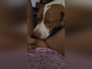 Check out this hardcore and extreme sex scene with a milf and her dog