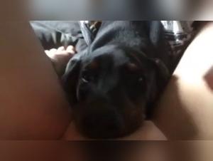 Extreme sex with an animal