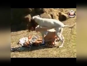 ethics and the taboo in digital spaces