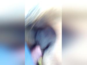 Der Hohepunkt der Frustrationen: Madchen und Hunde ohne Ablehnung