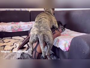 Watch this slut get fucked hard by a big dog