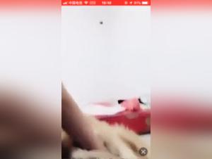 Video of Exciting and Forbidden Zoophilia