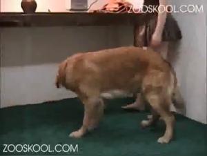 Discover the pleasures of bestiality with this teen and her dog