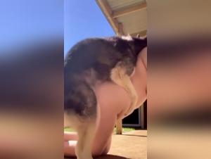 Watch this woman in a beastly sex video with her dog