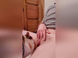 The Perks of a Wild Sex Experience with Your Dog Outside