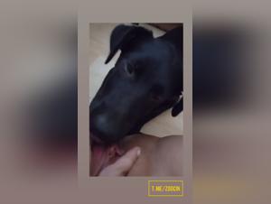 Fougue canine, jouissance brute: Une rencontre sexuellement descarée