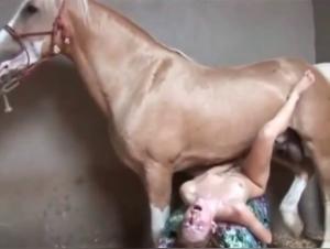 Bestiality scene with a horse and a woman
