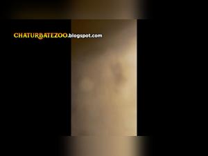 Amateur Women and Dogs in Extreme Sex Videos