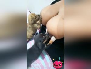 canine lactation bestiality