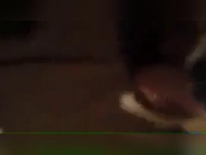 Sexvideos mit Hunden und anderen Tieren