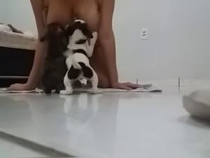 Dog's Big Bite & Asian Artistic Depiction