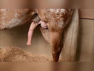 Discover the Pleasures of Bestiality