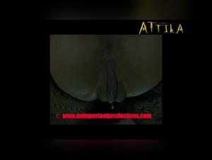 Bestiality and Extreme Sex