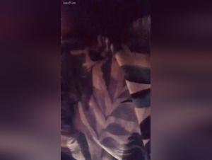 Sex videos with dogs: an extreme experience