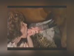 The Intimate Bond: Horse and Rider Relationships in Sex and Animal Passion