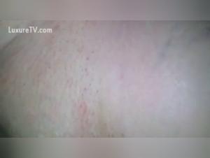 Bestiality videos: an extreme experience