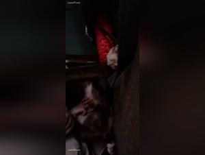 The Dog Sex World: A World Apart