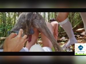 An extreme zoophilia experience with a dog and a young woman