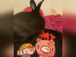 Una putaina se follo con un perro al aire libre